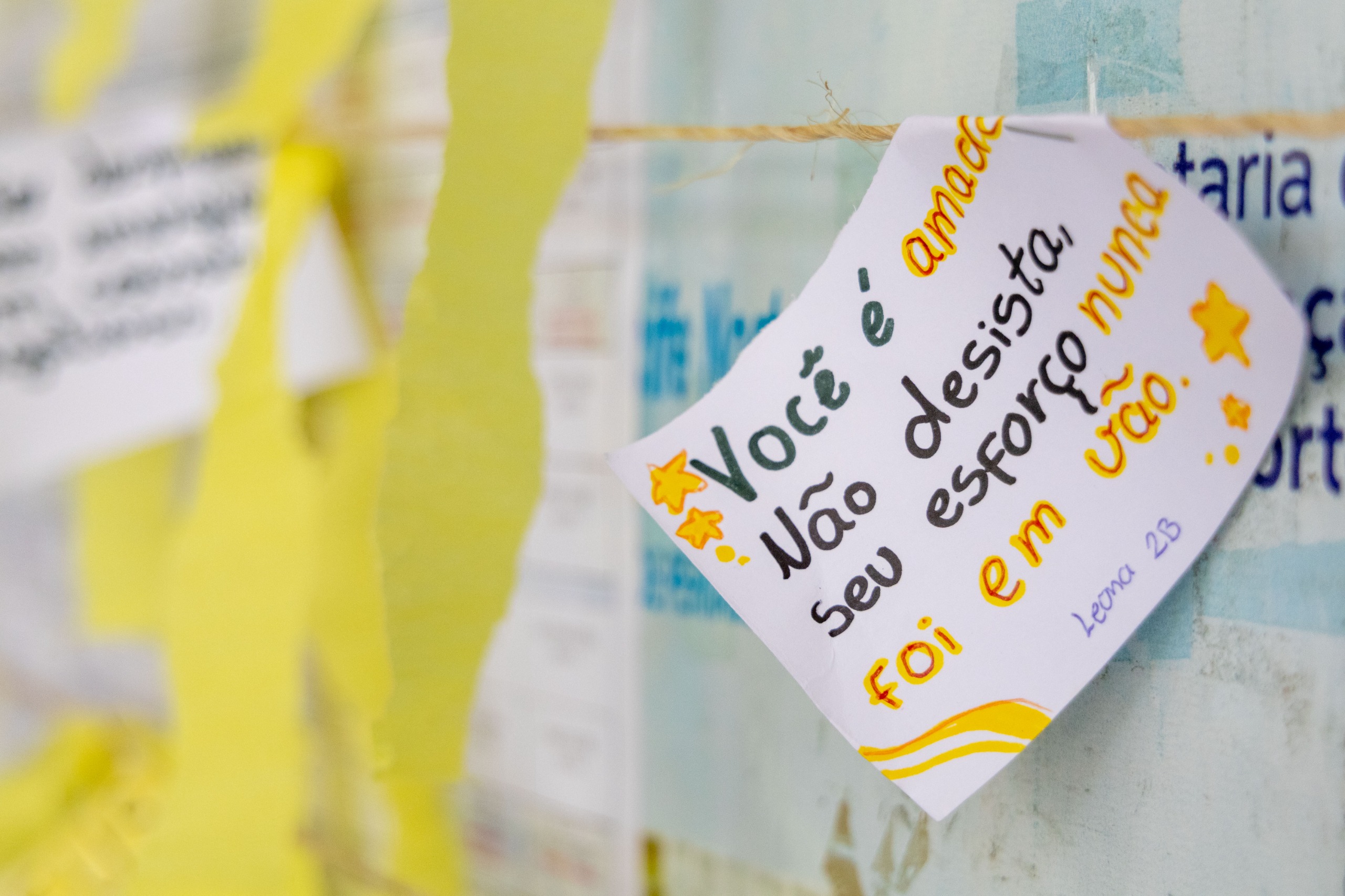 setembro amarelo, escolas, pernambuco